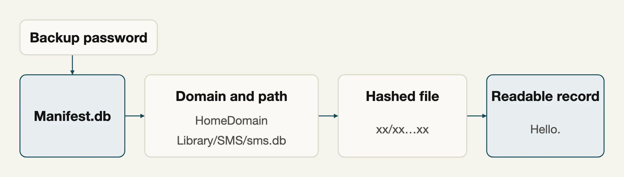 An encrypted backup uses its password to unlock Manifest.db, whose domain and relative path locate a hashed database file that a backup reader decodes into a record.