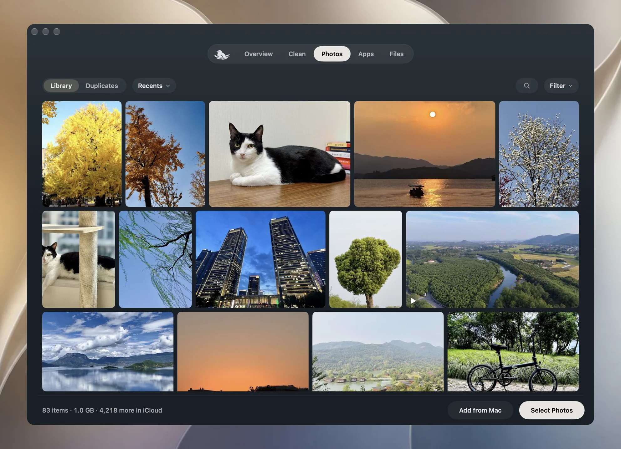 Yado Photos: the library at each photo's own proportions, with its count, size and export button